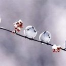 이승수 농장 이미지