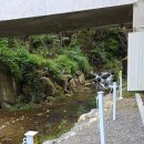 몬스마리 | [용인 신봉동] 카페 몬스마리 베이커리 방문 후기