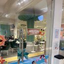 카페 토아로 | 다낭 최고의 베이비시터, 핑크베이비시터 토아님 후기