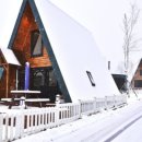 대관령 목장길펜션 이미지