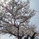 추억여행 Daum카페
