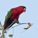 말코농장 | 2021. 02. 22. 전주동물원 방문기 ②