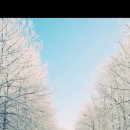 중국어(입문) 이미지