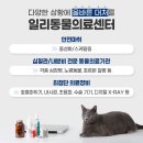 일리동물의료센터 이미지
