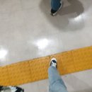 천포카서비스 | [일주일제주한바퀴] 준비기록; 하이에어/티웨이항공, 제주사랑렌트카, 제주 숙소 예약