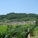 관동마을 앞 이미지