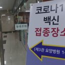 제주방목흑도야지