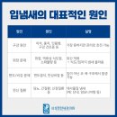 서울편한안치과의원 이미지