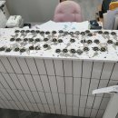 점핑하이송도4공구점