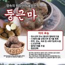 둥근전단