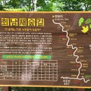 회남재 숲길 이미지