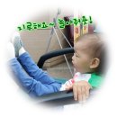 1296 | *** 꽃다의 하루 / + 553. 서대전세무서. 둔산동 동사무소. 대전 롯데 백화점. TGI.