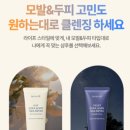 샴푸나이트 - 강북구 도봉로 308 | 샴푸나이트