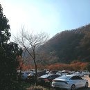 백양사약수터 | 🍂 가을 감성 충전! 백양사 단풍놀이 다녀왔어요! 🍁