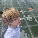 동화체육관 이미지