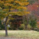 운요천목욕탕 이미지