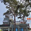 더(The)라온 이미지