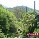 봄뜰에농장 이미지