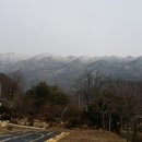 모란의뜰