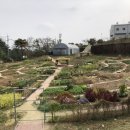 대전광역시 농업기술센타 이미지