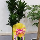 벌교하나로마트앞 이미지