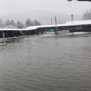 자일낚시터 이미지