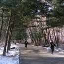 개성가는길 이미지