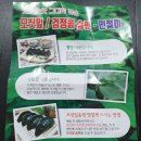 낙원모싯잎송편 이미지