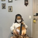 첼로(성인반) 이미지