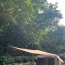 달천공원 오토캠핑장 이미지