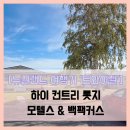하이모텔 | 뉴질랜드 여행기 트와이젤] 하이 컨트리 롯지, 모텔스...트위젤 예쁜 숙소 모텔 공용주방 요리 객실...