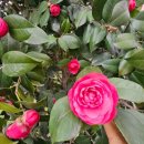 보금신토불이 이미지