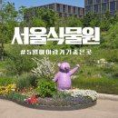 식물원 정자옆 | 서울식물원 :: 서울 나들이 추천 :: 아이랑꽃구경