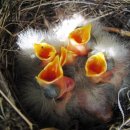 엄마밥줘 이미지