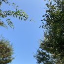 금산인삼골오토캠핑장 이미지