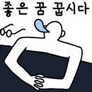 사이랩 네이버블로그