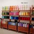 무어텐스튜디오