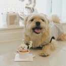 멍멍수제간식 | 청주 강아지케이크 수제간식 멍멍상회 내돈내산