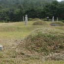 박동명 묘소 뉴시스