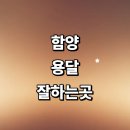 함양군 근처 화물용달 전문업체 추천 잘하는곳 용달이사 소형 라보용달 가격 침대 퀵서비스 렌트 후기 견적