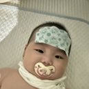 동울산신경외과의원 | 울산 가족보건의원 4개월 아기 예방접종 접종열 후기