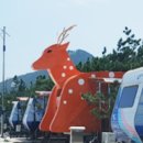 영덕고래불국민야영장 이미지