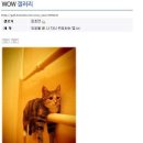 위로 Daum카페