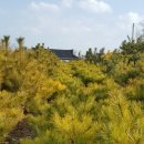 지리산황금농장 이미지