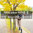 엠티브이5로 | 2025 시흥 전국 하프 마라톤 대회 10km 완주 후기 + 남편의 첫 하프