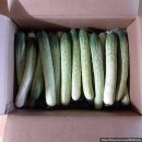 문수농장 이미지