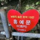 교룡식품