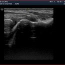 두암연세연합의원 이미지