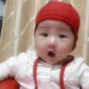 빨강모자 이미지