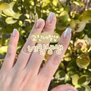 더타이어샵 고잔점 | 안산 고잔 네일샵 | 영롱함 끝판왕 파우더 네일, 고잔동 네일 맛집 네일샘샘